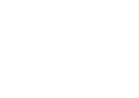 Logo WolfRock